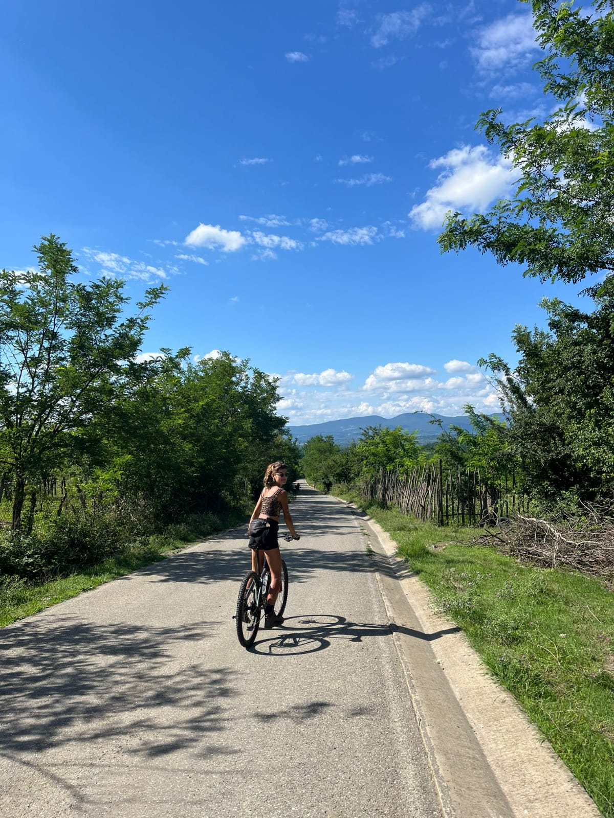 Kakheti bike — Gombori Pass descent through Georgian forest